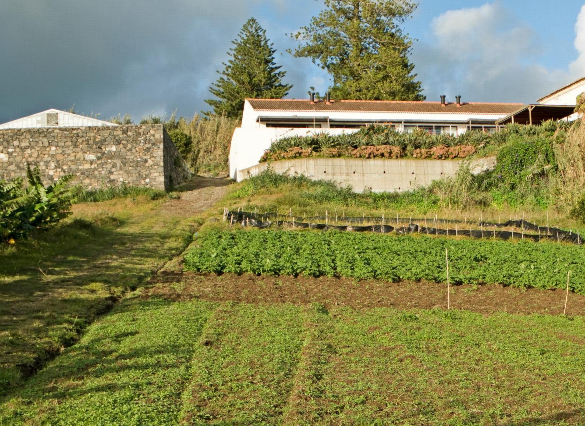 Qva - Quinta Velha Das Amoreiras Vila Franca do Campo Eksteriør billede